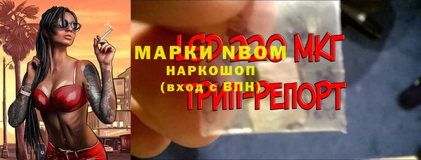 стаф Арсеньев