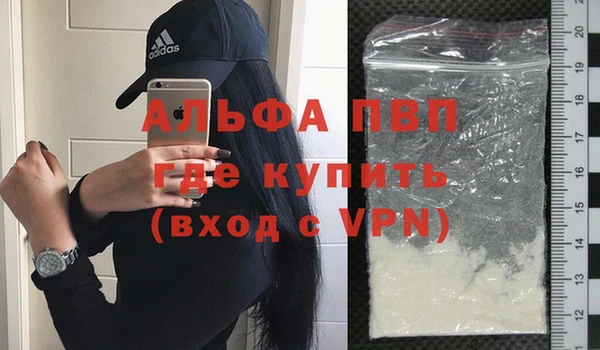 стаф Арсеньев