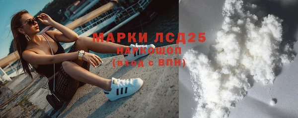 стаф Арсеньев