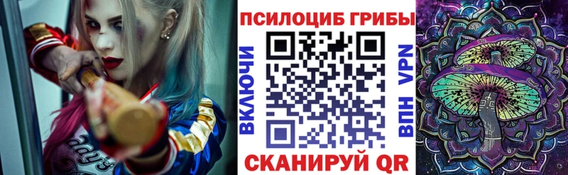 купить  сайты  Боровск  мега сайт  Галлюциногенные грибы MAGIC MUSHROOMS 